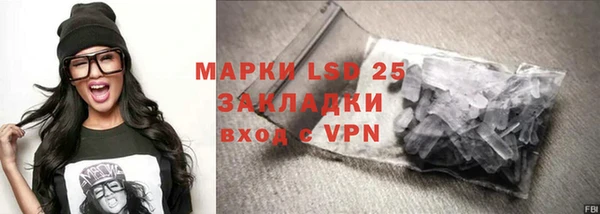 индика Бронницы
