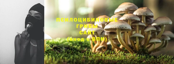 MESCALINE Богородицк