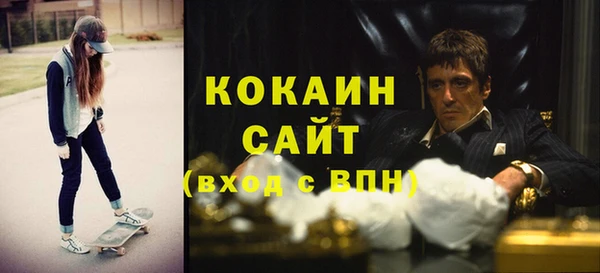 хмурый Бородино