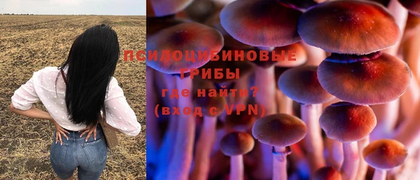 хмурый Бородино